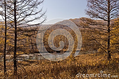 Xingâ€™an region at autumn, Inner Mongolia, China Stock Photo